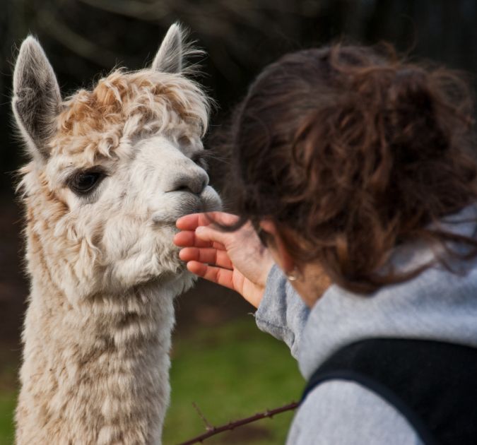 things to do for destination